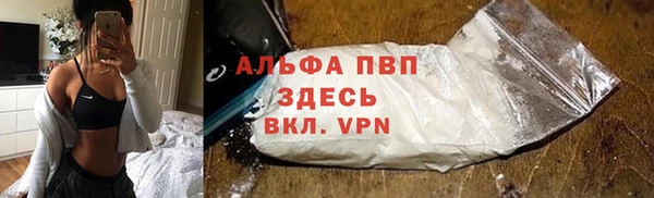 индика Михайловка