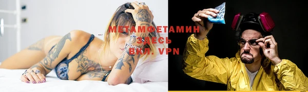 индика Михайловка