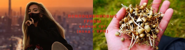 дурь Михайлов