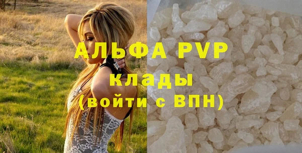 индика Михайловка