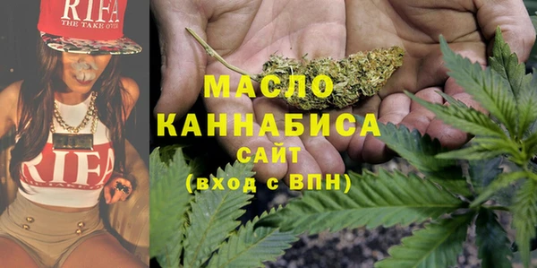 индика Михайловка