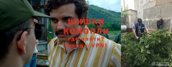 индика Михайловка