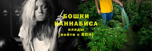 индика Михайловка