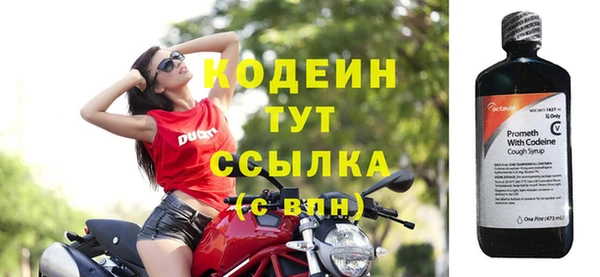 индика Михайловка