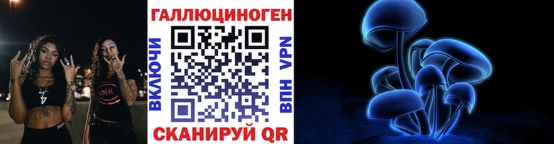 дарнет шоп  Тверь  Псилоцибиновые грибы Psilocybe 