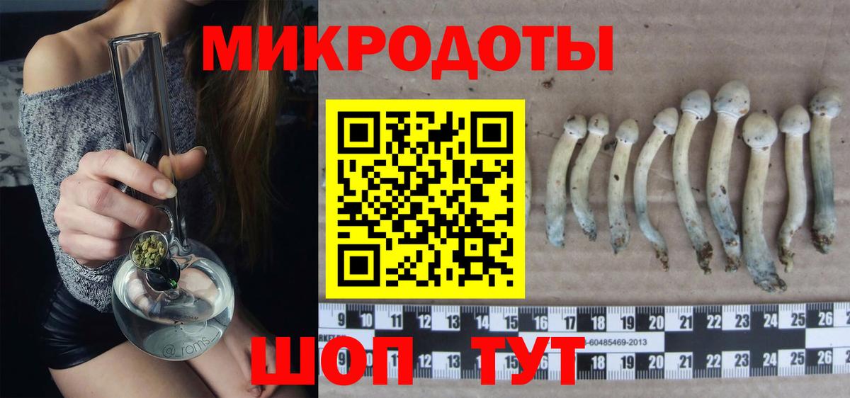 Галлюциногенные грибы прущие грибы  Вход с VPN  наркошоп  Тверь 