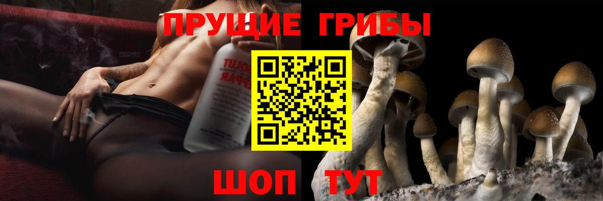 Галлюциногенные грибы MAGIC MUSHROOMS Тверь